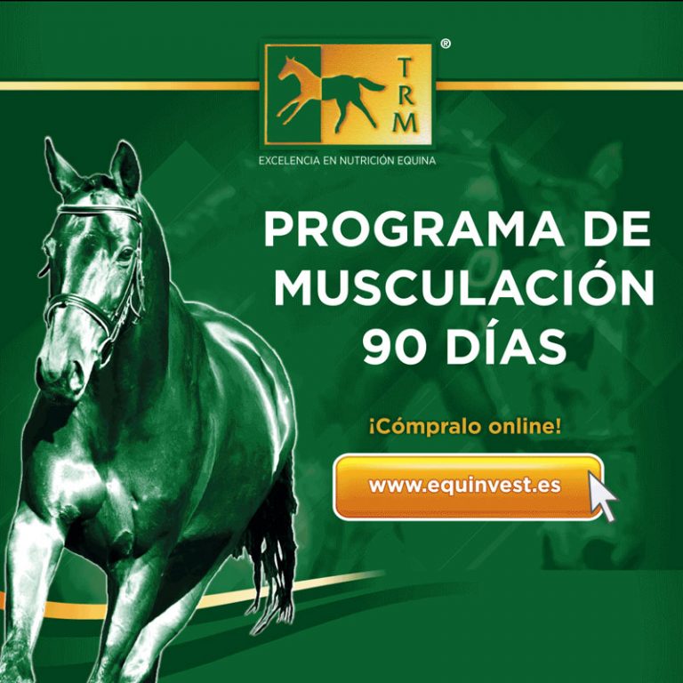 Publicidad